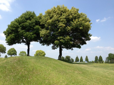 首・頸椎狭窄症